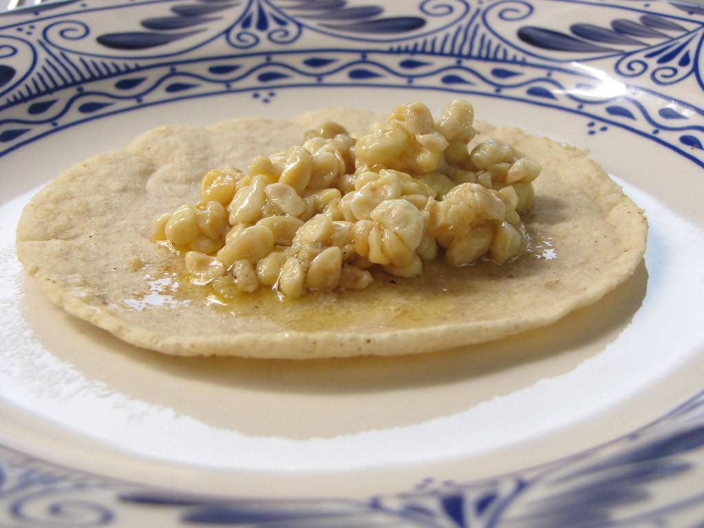 Escamoles: Unveiling the Gourmet Secrets of Mexico's Ant Larvae Delicacy